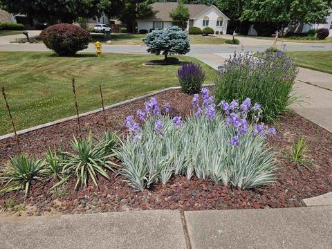 1069 Dye, Flint, MI 48532 photo 3