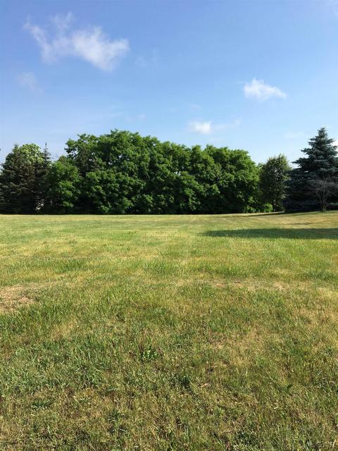 1198 Scott, Adrian, MI 49221
