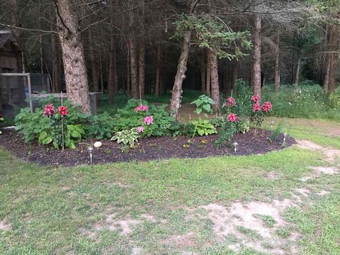 10270 Mount Hope, Munith, MI 49259 photo 7
