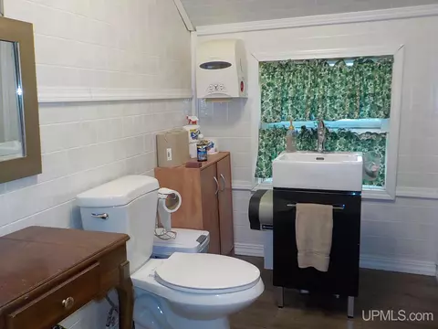 107 5th St, Alpha, MI 49902 photo 16