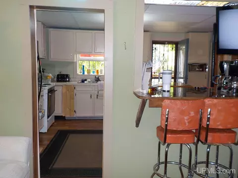 107 5th St, Alpha, MI 49902 photo 7