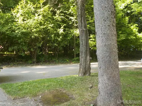 107 5th St, Alpha, MI 49902 photo 29