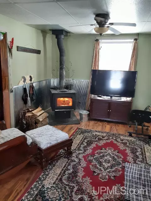 107 5th St, Alpha, MI 49902 photo 4
