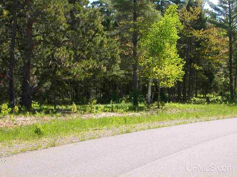 Tbd Eliza Creek, Eagle Harbor, MI 49950
