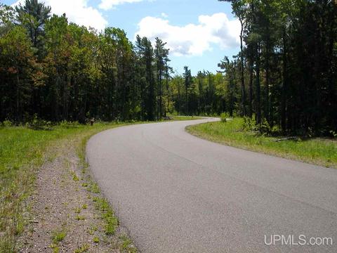 Tbd Eliza Creek, Eagle Harbor, MI 49950