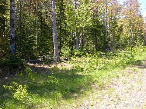 Tbd Eliza Creek, Eagle Harbor, MI 49950
