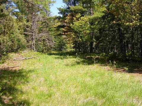 Tbd Eliza Creek, Eagle Harbor, MI 49950