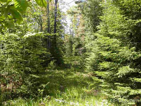 Tbd Eliza Creek, Eagle Harbor, MI 49950