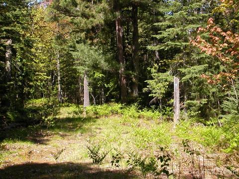 Tbd Eliza Creek, Eagle Harbor, MI 49950