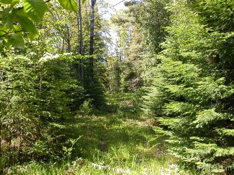 Tbd Eliza Creek, Eagle Harbor, MI 49950