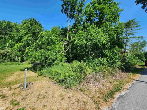 0 Washington, Emmett, MI 48022