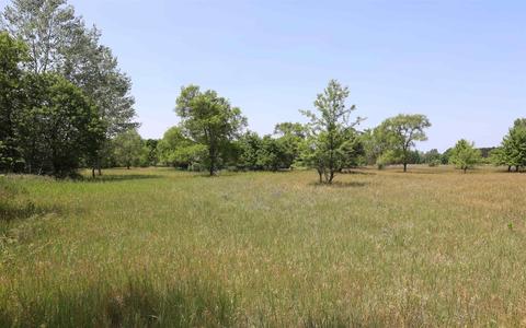 Tbd Pine St, Elm Hall, MI 48830