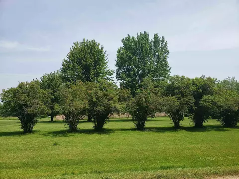 0 E Neuman, Pinconning, MI 48650