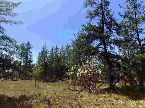 85 S G S Mehl Lk, Gwinn, MI 49841