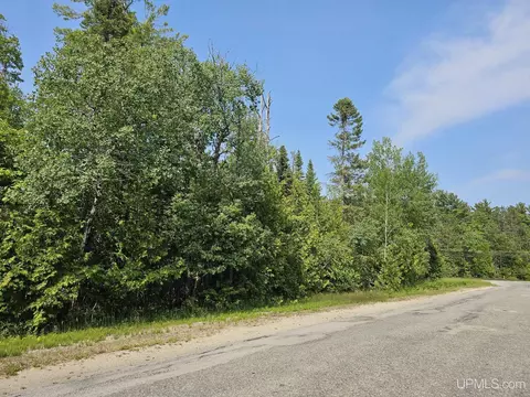 Tbd N County Road 440, Manistique, MI 49854