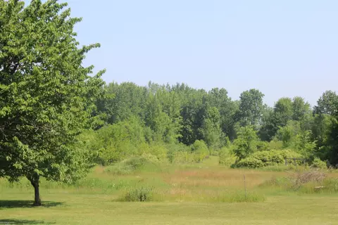 18195 Gilmore Rd, Armada, MI 48005 photo 33
