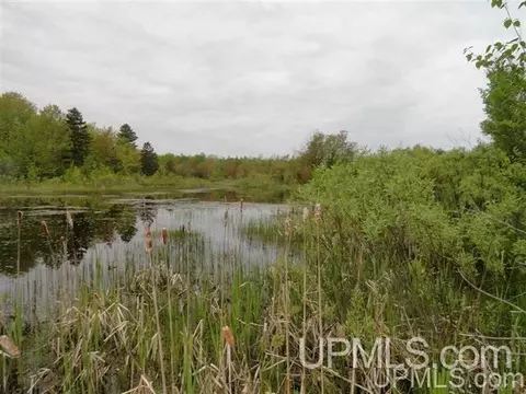 Tbd M64, Ontonagon, MI 49971