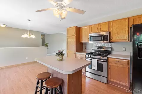 1005 Huron, Tecumseh, MI 49286 photo 8