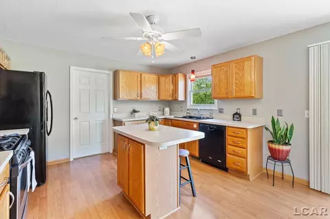 1005 Huron, Tecumseh, MI 49286 photo 11