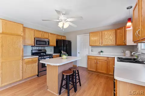 1005 Huron, Tecumseh, MI 49286 photo 9
