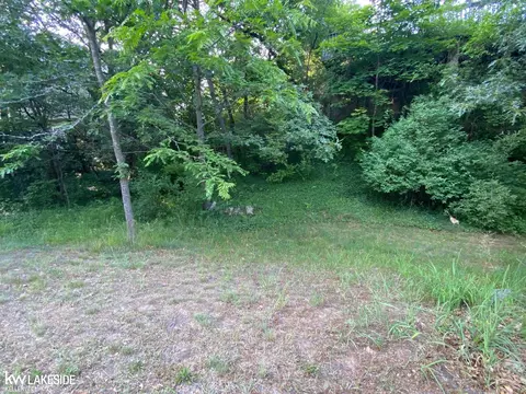 Lot 6 Oak Point Dr., Caseville, MI 48725