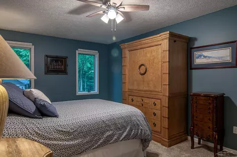 711 Maple Crst, Frankenmuth, MI 48734 photo 31