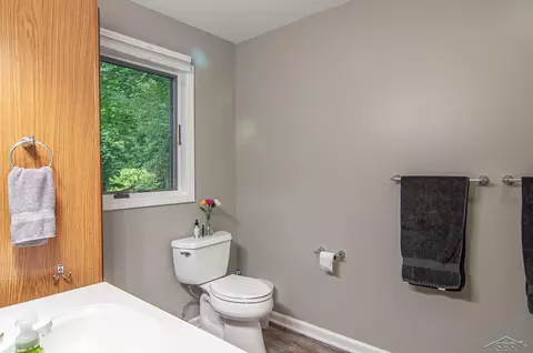 711 Maple Crst, Frankenmuth, MI 48734 photo 36