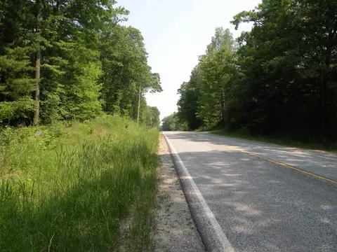 Adams, Gladwin, MI 48624 photo 9