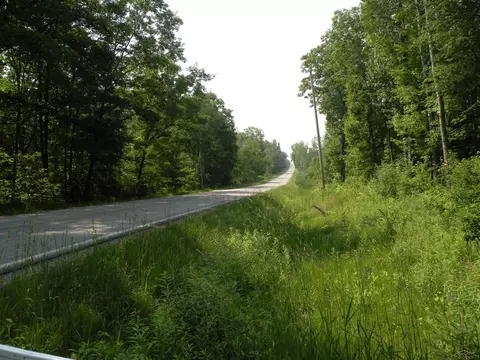 Adams, Gladwin, MI 48624 photo 8