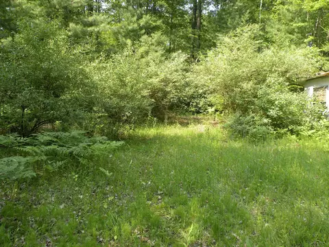 Adams, Gladwin, MI 48624 photo 2