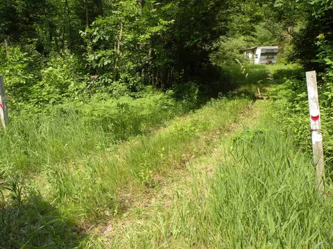 Adams, Gladwin, MI 48624