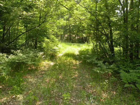 Adams, Gladwin, MI 48624 photo 3