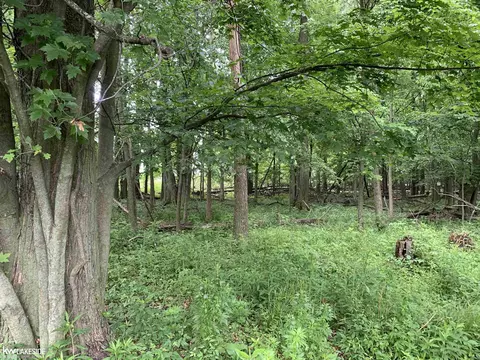 2004 Custer Rd, Deckerville, MI 48427 photo 28
