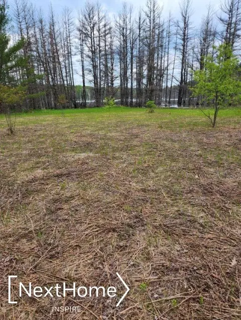 Labrador, Gaylord, MI 49735