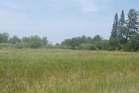 56 Cambridge, Gladwin, MI 48624 photo 3