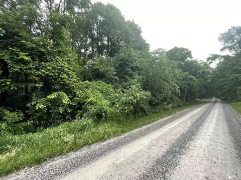 0 Hivon Rd, Maybee, MI 48159 photo 3