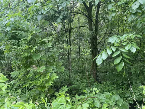 0 Hivon Rd, Maybee, MI 48159 photo 5