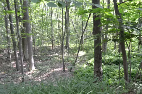 1556 W Newberg, Pinconning, MI 48650