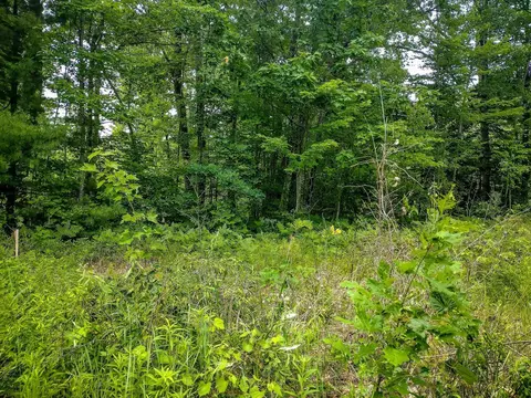 Nhn Russell Drive, Harrison, MI 48625