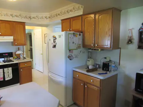 419 Windmill Pt, Flushing, MI 48433 photo 9