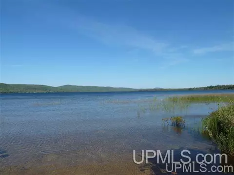 tbd Off Sager, Eagle Harbor, MI 49950 photo 6