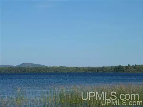 tbd Off Sager, Eagle Harbor, MI 49950 photo 7