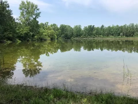 Tbd Lone Pine, Farwell, MI 48622 photo 8