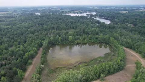 Tbd Lone Pine, Farwell, MI 48622