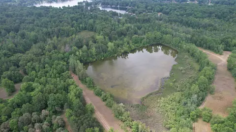 Tbd Lone Pine, Farwell, MI 48622 photo 2