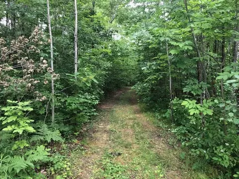 Tbd Lone Pine, Farwell, MI 48622 photo 4
