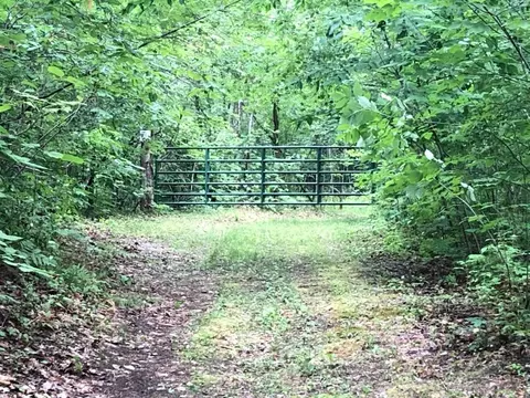 Tbd Lone Pine, Farwell, MI 48622 photo 5