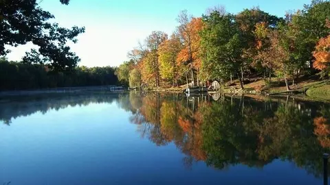 1563 Lakeshore, Gladwin, MI 48624 photo 7