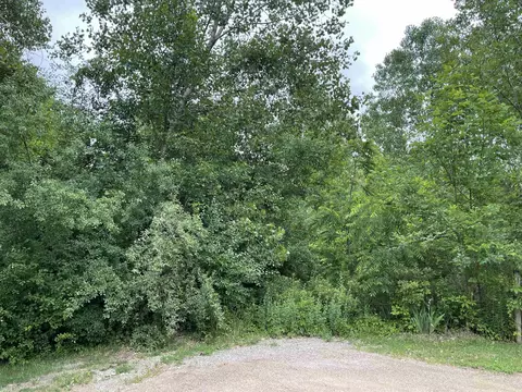 0 Thelma, Mount Morris, MI 48458