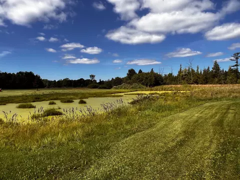 View/Area - 562 S Harrison, Harrison, MI 48625 photo 2 of 4